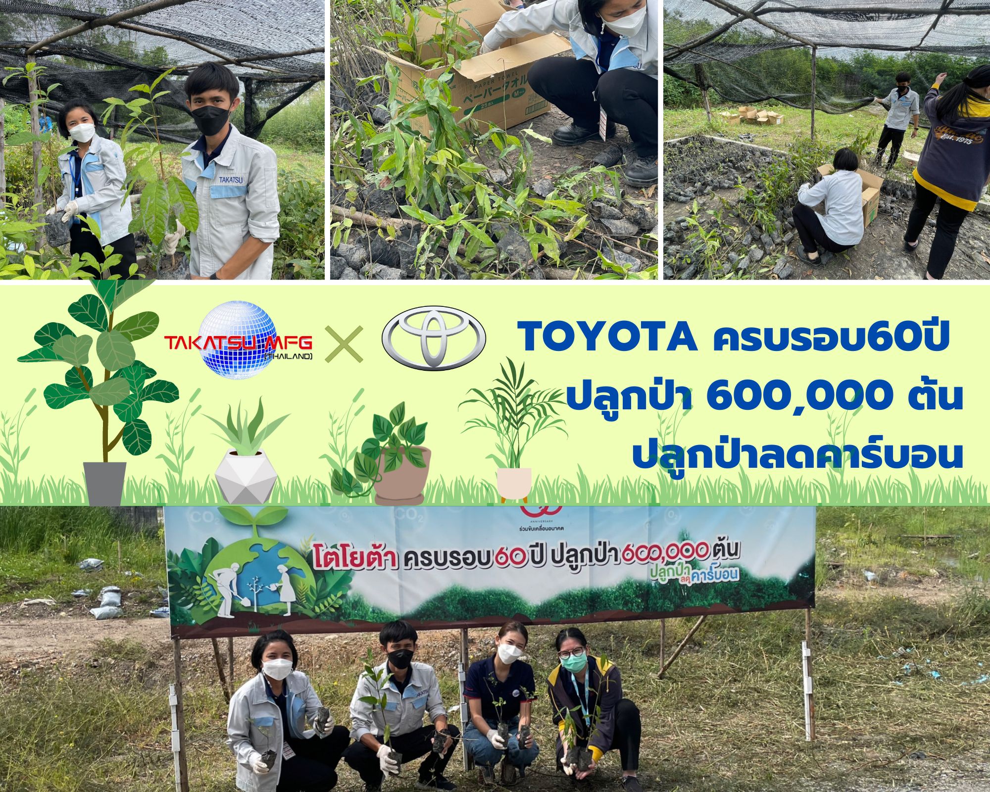 CSR : โครงการ TOYOYA ครบรอบ 60 ปี ปลูกป่า 600,000 ต้น ปลูกป่าลดคาร์บอน